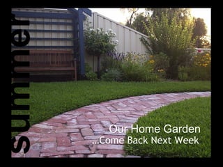 Our Home Garden … Come Back Next Week summer 