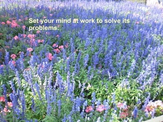 Set your mind at work to solve its problems. 