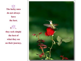 The lucky ones do not always have the best. Often,  they seek simply the best of what they see on their journey. 