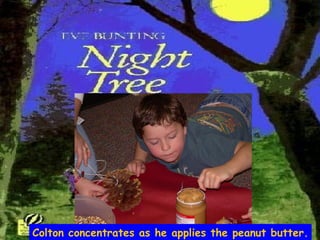 Colton concentrates as he applies the peanut butter. 