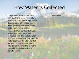 How Water is CollectedOur grounds water comes from rain, sleet, and snow.  The natural process of how the earth processes its own water is by letting the water get into the earth’s cracks and pores as table water.  The earth then purifies that water by letting it pass through sand, rocks, and soil.  This will allow for the natural minerals to saturate the water to give us the vitamins that we need to stay healthy.  This is why it is so important to keep the ground free of chemicals and harmful toxins. Cart of Water 