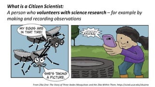 What is a Citizen Scientist:
A person who volunteers with science research – for example by
making and recording observations
From Zika Zine: The Story of Three Aedes Mosquitoes and the Zika Within Them, https://scied.ucar.edu/zikazine
 
