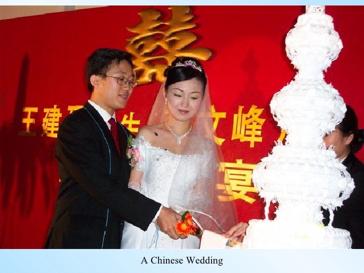 free download pokies