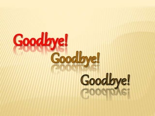 Our activity   smart team