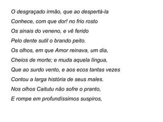 O desgraçado irmão, que ao despertá-la
Conhece, com que dor! no frio rosto
Os sinais do veneno, e vê ferido
Pelo dente sutil o brando peito.
Os olhos, em que Amor reinava, um dia,
Cheios de morte; e muda aquela língua,
Que ao surdo vento, e aos ecos tantas vezes
Contou a larga história de seus males.
Nos olhos Caitutu não sofre o pranto,
E rompe em profundíssimos suspiros,
 