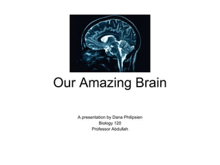 Our Amazing Brain A presentation by Dana Philipsien Biology 120 Professor Abdullah 