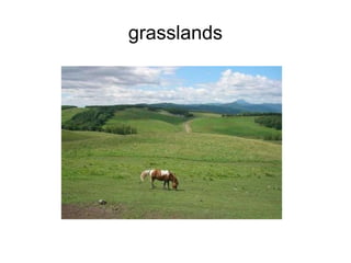 grasslands 