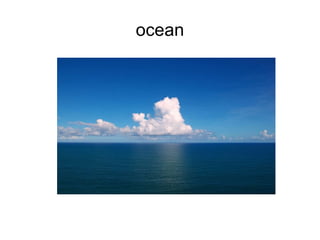 ocean 