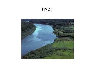 river 