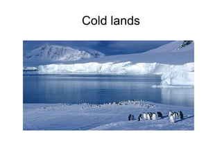 Cold lands 