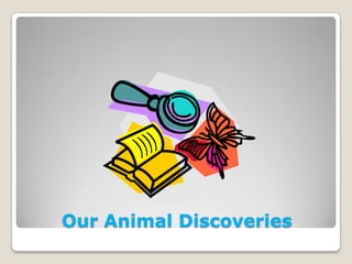 Our Animal Discoveries
 