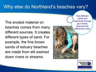 Our beaches | PPTX