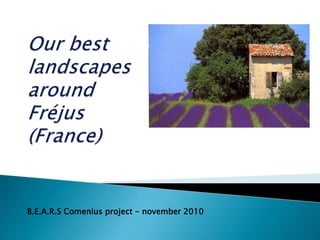 B.E.A.R.S Comenius project - november 2010
 