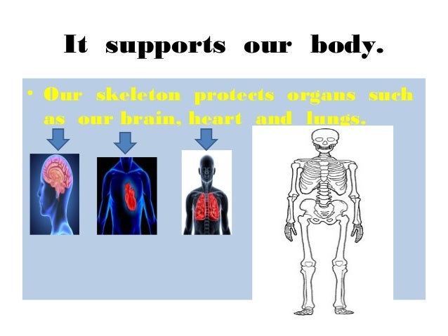 Our body has bones.