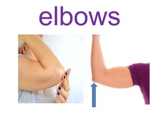 elbows
 
