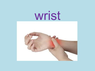 wrist
 