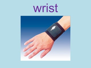 wrist
 