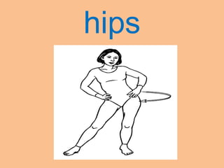 hips