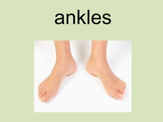 ankles