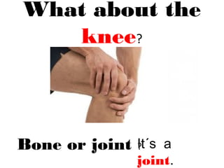 What about the
knee?
Bone or joint ?It´s a
joint.
 