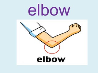 elbow
 