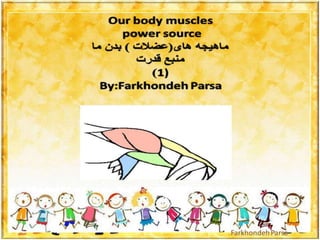 Our body muscles -1