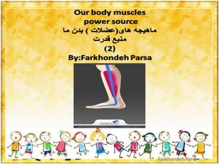Our body muscles- 2