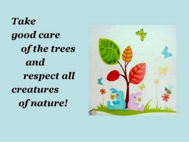 our book about environment