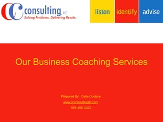 Our Business Coaching Services 