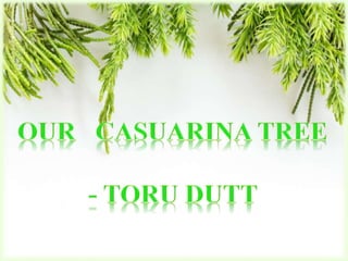 OUR CASUARINA TREE - TORU DUTT BY ROBYHEP | PPTX
