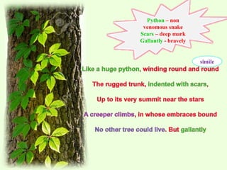 OUR CASUARINA TREE - TORU DUTT BY ROBYHEP | PPT