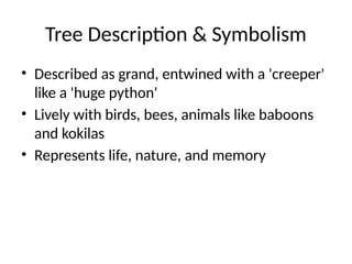 Our_Casuarina_Tree_Summary_Analysis.pptx