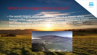What is the largest active volcano?
• The world's largest, active volcano is Mauna Loa in Hawaii, where
famous coffee is grown in the rich volcanic soils. Mauna Loa is 13,677
feet above sea level. From its base below sea level to its summit,
Mauna Loa is taller than Mount Everest.
 
