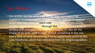 Sea Arches
• Sea arches are the next step along from sea caves that
continue to be eroded by the waves. The feature is created
when two sea caves on each side of a headland join in the
middle, creating a tunnel through the cliffs. As this tunnel is
eroded and enlarged, the headland begins to take on the
shape of an arch, with a pillar of rock remaining in the sea
and a slice of land connecting it at its uppermost point to the
new headland, which has retreated from its original position.
 