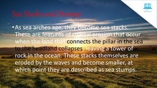 Sea Stacks and Stumps
•As sea arches age, they become sea stacks.
These are features of coastal erosion that occur
when the land that connects the pillar in the sea
to the headland collapses, leaving a tower of
rock in the ocean. These stacks themselves are
eroded by the waves and become smaller, at
which point they are described as sea stumps.
 