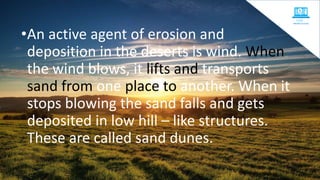 •An active agent of erosion and
deposition in the deserts is wind. When
the wind blows, it lifts and transports
sand from one place to another. When it
stops blowing the sand falls and gets
deposited in low hill – like structures.
These are called sand dunes.
 