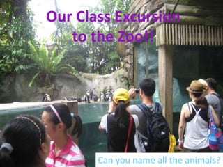 Our Class Excursion
   to the Zoo!!




       Can you name all the animals?
 