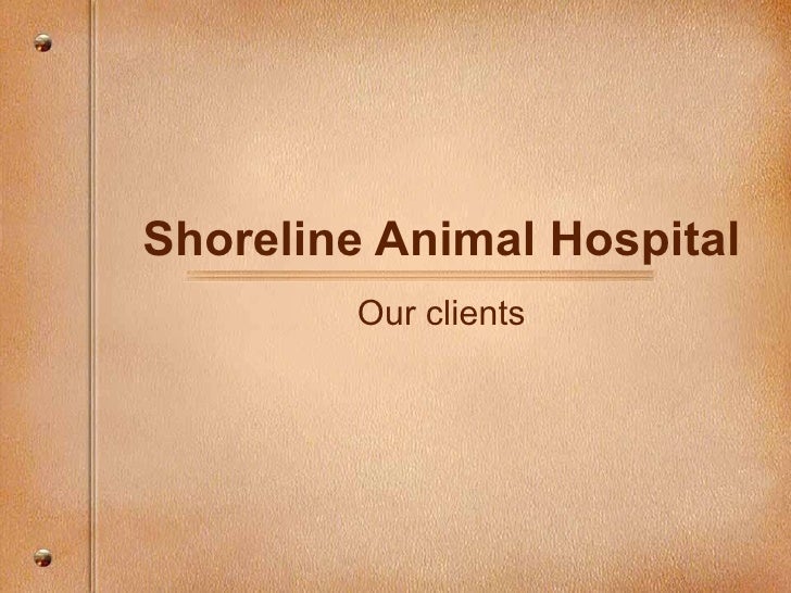Shoreline Animal Hospital