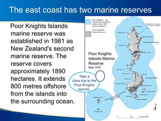 The east coast has two marine reserves
Poor Knights Islands
marine reserve was
established in 1981 as
New Zealand's second
marine reserve. The
reserve covers
approximately 1890
hectares. It extends
800 metres offshore
from the islands into
the surrounding ocean.
Take a
class trip to the
Poor Knights
Islands.
Poor Knights
Islands Marine
Reserve
Map: DOC
 