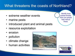 What threatens the coasts of Northland?
• extreme weather events
• marine pests
• introduced plant and animal pests
• resource exploitation
• erosion
• pollution
• climate change
• human activities
Identify local
coastal threats.
How can people
help reduce
these.
Erosion – human
activity – Mahuta Gap
 