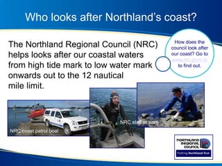 Who looks after Northland’s coast?
The Northland Regional Council (NRC)
helps looks after our coastal waters
from high tide mark to low water mark
onwards out to the 12 nautical
mile limit.
NRC coast patrol boat
How does the
council look after
our coast? Go to
www.nrc.govt.nz
to find out.
NRC staff at work
 