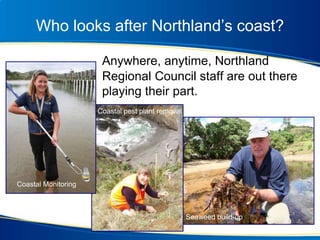 Who looks after Northland’s coast?
Anywhere, anytime, Northland
Regional Council staff are out there
playing their part.
Coastal Monitoring
Coastal pest plant removal
Seaweed build-up
 
