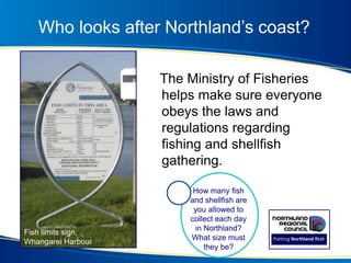 Who looks after Northland’s coast?
The Ministry of Fisheries
helps make sure everyone
obeys the laws and
regulations regarding
fishing and shellfish
gathering.
How many fish
and shellfish are
you allowed to
collect each day
in Northland?
What size must
they be?
Fish limits sign,
Whangarei Harbour
 