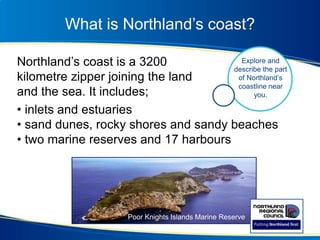 What is Northland’s coast?
• inlets and estuaries
• sand dunes, rocky shores and sandy beaches
• two marine reserves and 17 harbours
Northland’s coast is a 3200
kilometre zipper joining the land
and the sea. It includes;
Poor Knights Islands Marine Reserve
Explore and
describe the part
of Northland’s
coastline near
you.
 