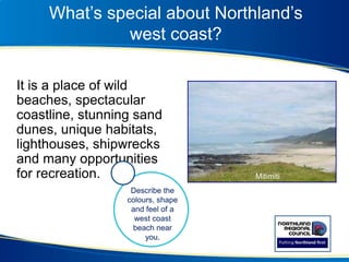 What’s special about Northland’s
west coast?
It is a place of wild
beaches, spectacular
coastline, stunning sand
dunes, unique habitats,
lighthouses, shipwrecks
and many opportunities
for recreation.
Hokianga Harbour
Describe the colours,
shape and feel of the
West Coast beach nearest
to you.
Mitimiti
Describe the
colours, shape
and feel of a
west coast
beach near
you.
 