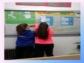 Moraima comenius corner