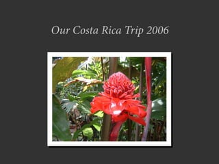 Our Costa Rica Trip 2006
 