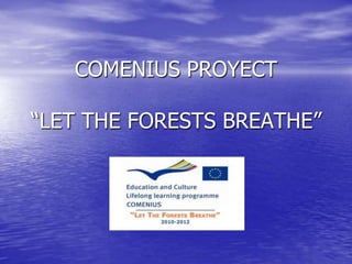 COMENIUS PROYECT“LET THE FORESTS BREATHE” 