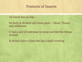 Class 3 Science Insects Environmental Science (EVS): Insects (Class III) | PDF