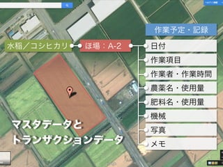 水稲／コシヒカリ ほ場：A-2
作業予定・記録
日付
作業項目
作業者・作業時間
農薬名・使用量
肥料名・使用量
機械
写真
メモ
マスタデータと
トランザクションデータ
 